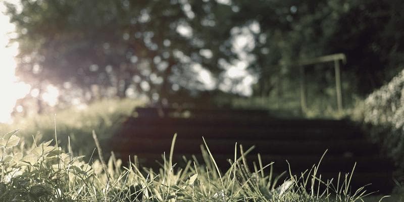 Water Systems & Rainwater Harvesting